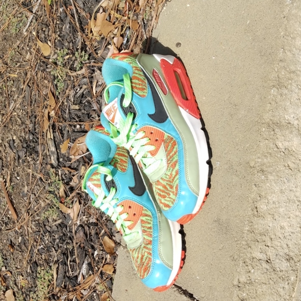 Nike Air Max Shoes